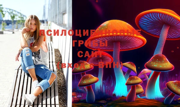 mdpv Алексин