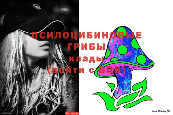 скорость Алзамай