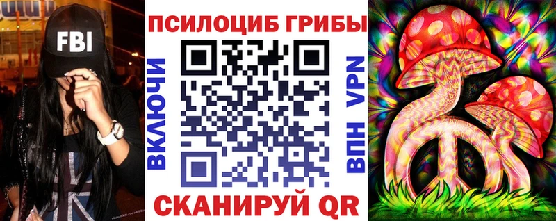 ссылка на мегу ссылки  Бабушкин  Псилоцибиновые грибы прущие грибы  продажа наркотиков 